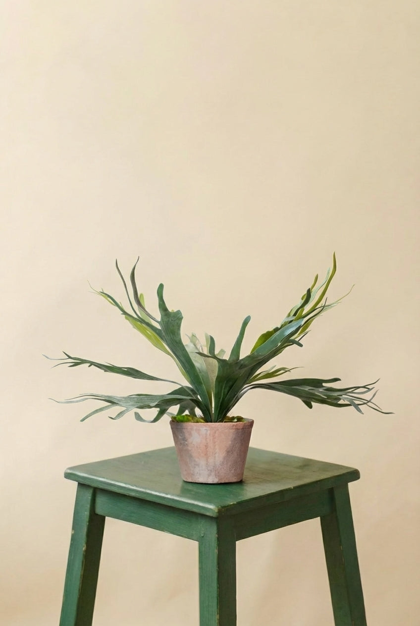 Platycerium plante artificielle (h50cm / Ø15cm)