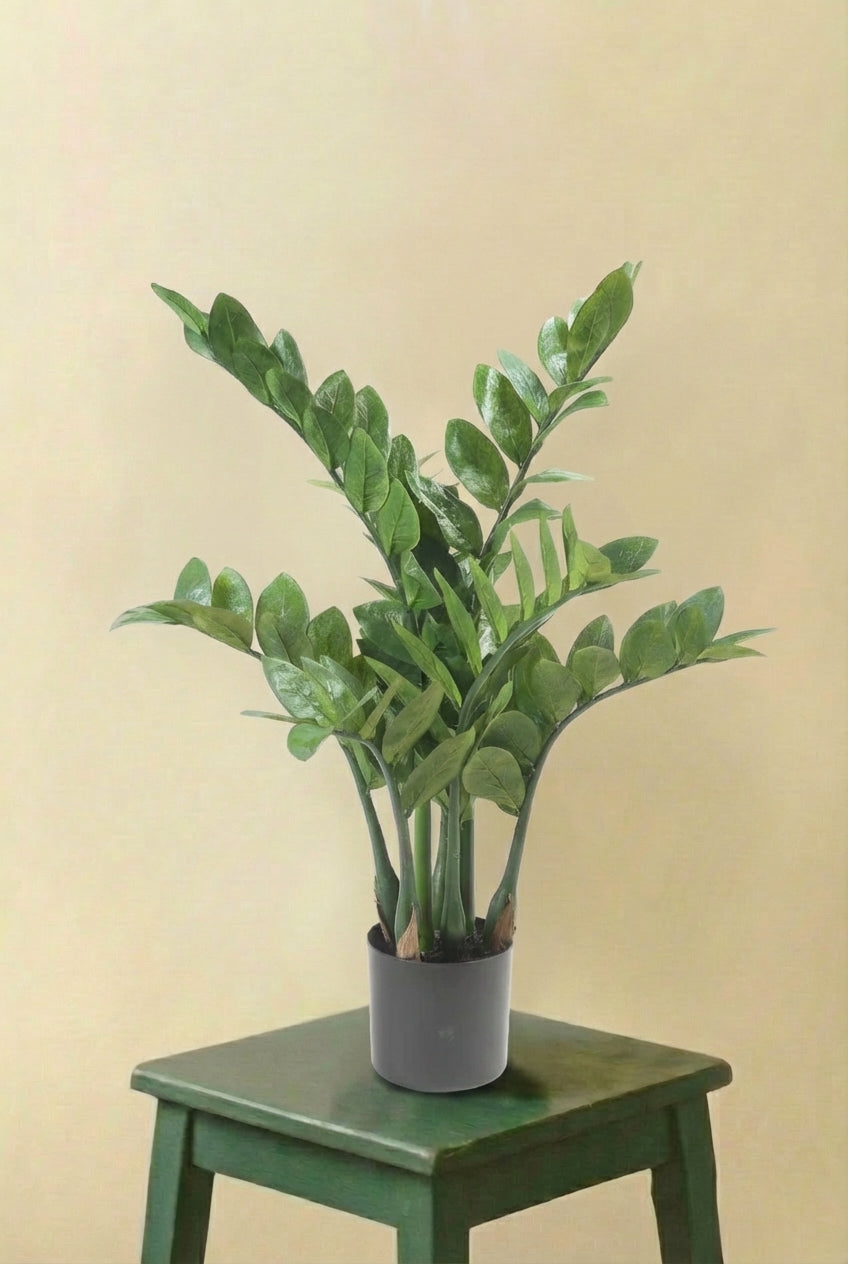 Zamioculcas plante artificielle (h70cm / Ø15cm)