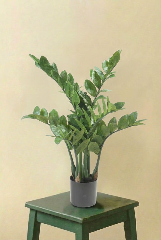 Zamioculcas plante artificielle (h70cm / Ø15cm)